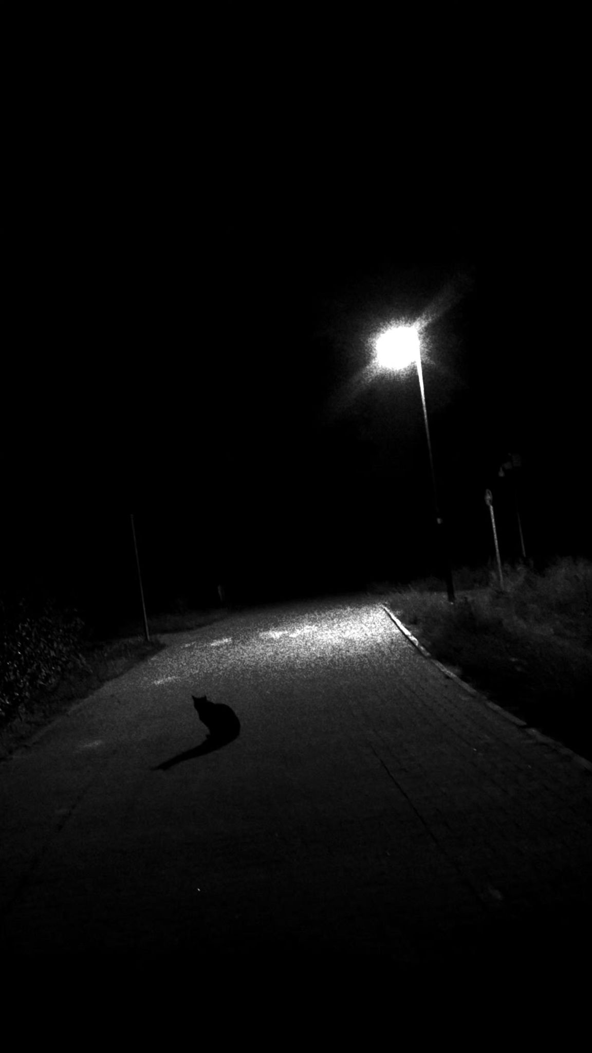 Nocna droga podczas jazdy na rolkach